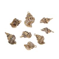 Shell Hangers, Schelp, met Messing, Schelp, gold plated, 21x9x9mm, Gat:Ca 2mm, Ca 10pC's/Bag, Verkocht door Bag