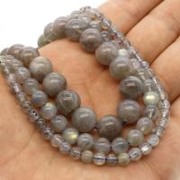 Perles en labradorite, Rond, normes différentes pour le choix, gris, Trou:Environ 1mm, Vendu par Environ 14.9 pouce brin