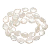 Keishi ferskvandskulturperle Beads, Ferskvandsperle, Flad Rund, naturlig, hvid, 13mm, Hole:Ca. 0.8mm, Solgt Per Ca. 15 inch Strand