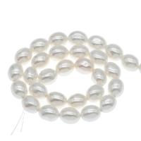 Contas de conchas do Mar do Sul, concha do mar do sul, Oval, DIY, branco, 19*16mm, Buraco:Aprox 1mm, Aprox 20PCs/Strand, vendido para Aprox 14.9 inchaltura Strand