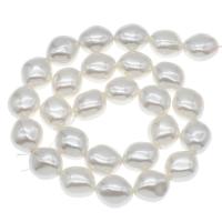 Perline conchiglia mari del sud, Rhombus, DIY, bianco, 16x14x11mm, Foro:Appross. 1mm, Appross. 27PC/filo, Venduto per Appross. 14.9 pollice filo