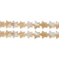 South Sea Shell Helmet, Flat Star, tee-se-itse, enemmän värejä valinta, 12x12x4mm, Reikä:N. 1mm, N. 31PC/Strand, Myyty Per N. 14.9 tuuma Strand