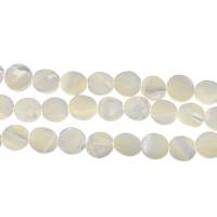 Perline conchiglia mari del sud, Cerchio piatto, DIY, bianco, 12x12x3mm, Foro:Appross. 1mm, Appross. 31PC/filo, Venduto per Appross. 14.9 pollice filo