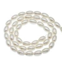 South Sea Shell Kralen, Olijf, verschillende grootte voor keus, wit, Gat:Ca 1mm, Per verkocht Ca 14.9 inch Strand