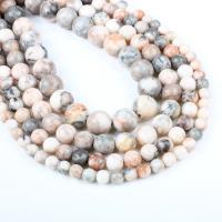 Zebra Jasper Bead, Rund, olika storlek för val, rosa, Hål:Ca 1mm, Såld Per Ca 14.9 inch Strand