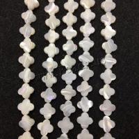 Top Shell Χάντρα, DIY, 12mm, 31PCs/Strand, Sold Per Περίπου 15 inch Strand