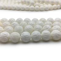 Natural Freshwater Shell Beads polished DIY Sold By Strand