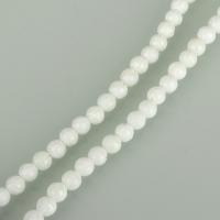 Abalorios de Coral, Esférico, pulido, Bricolaje, Blanco, 6.50mm, agujero:aproximado 1.5mm, aproximado 65PCs/Sarta, Vendido para aproximado 15.5 Inch Sarta