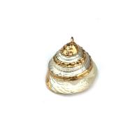 Naturlig Trumpet Shell Pendler, Conch, forgyldt, du kan DIY, blandede farver, 13x20~15x25mm, Solgt af PC