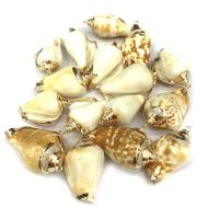 Naturlig Trumpet Shell Pendler, Conch, guldfarve belagt, du kan DIY, blandede farver, 20*35mm~25*45mm, Solgt af PC