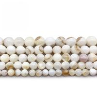 Natural White Shell Perler, Runde, poleret, du kan DIY & forskellig størrelse for valg, hvid, Solgt Per Ca. 14.2 inch Strand