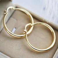 Ijzer Hoop Earring, mode sieraden & voor vrouw, meer kleuren voor de keuze, Verkocht door pair