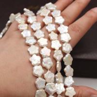 Reborn Cultured Freshwater Pearl Beads, pérola, Estrela, natural & DIY, branco, 11mm, 35PCs/Strand, vendido por Strand