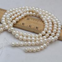 Runde ferskvandskulturperle Beads, Ferskvandsperle, Uregelmæssig, du kan DIY & flere størrelser for valg, flere farver til valg,  2-3mm, Solgt af Strand