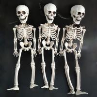 Plastic Skull Decoration Skeleton injection moulding Halloween Jewelry Gift white 400*120*55mm Sold By PC