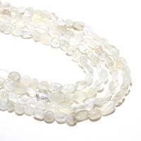 Grânulos de rocha lunar, Selenita, naturais, DIY, branco, 6*8mm, Aprox 48PCs/Strand, vendido por Strand