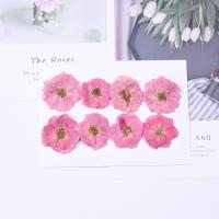 Handy DIY Kit, Getrocknete Blumen, Rose, plattiert, Modeschmuck & für Frau, keine, 2.5-4cm, 8PCs/Tasche, verkauft von Tasche