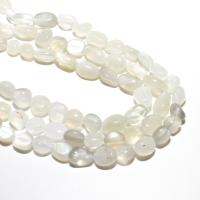 Grânulos de rocha lunar, Selenita, elipse, naturais, DIY, branco, 8-10mm, Aprox 36PCs/Strand, vendido por Strand