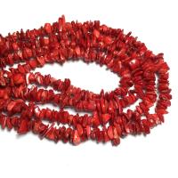 Sintetički koralj perle, Sintetička Coral, Nepravilan, možete DIY, crven, 8-33mm, Prodano By Strand