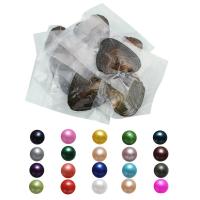 Kit de Pérolas ostras e desejos, Pérolas de água doce, Batata, cores misturadas, 7-8mm, 15PCs/Lot, vendido por Lot