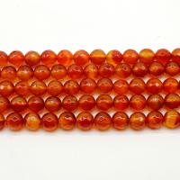 Φυσικά Χάντρες Red Agate, Γύρος, γυαλισμένο, DIY & διαφορετικό μέγεθος για την επιλογή, κόκκινος, Sold Με Strand