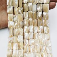 Naturlige gule Shell Perler, Gul Shell, Rektangel, poleret, du kan DIY, gul, Solgt af Strand