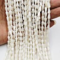 Natural White Shell Kralen, Schelp, Traan, gepolijst, DIY, wit, 5*8mm, Verkocht door Strand