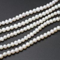 Barock odlad sötvattenspärla pärlor, Freshwater Pearl, Nuggets, naturlig, vit, 6-7mm,10*7cm, Hål:Ca 0.8mm, Såld Per Ca 15.5 inch Strand