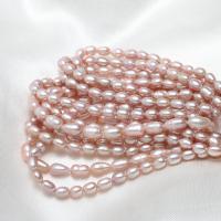 Rýže kultivované sladkovodní perle, Sladkovodní Pearl, přírodní, nachový, 3-4mm,10*7cm, Otvor:Cca 0.8mm, Prodáno za Cca 15.7 inch Strand