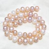 Krumpir Kulturan Slatkovodni Pearl perle, prirodan, miješana boja, 10-11mm,15*10.6cm, Rupa:Približno 0.8mm, Prodano Per Približno 16 inčni Strand