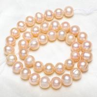 Perles de nacre rondes de culture d'eau douce, perle d'eau douce cultivée, naturel, rose, grade A, 10-11mm,13*8cm, Trou:Environ 0.8mm, Vendu par Environ 15 pouce brin