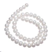 Kartoffel ferskvandskulturperle Beads, Ferskvandsperle, naturlig, hvid, 9-10mm,15*10.6cm, Hole:Ca. 0.8mm, Solgt Per Ca. 15.3 inch Strand