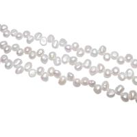 Prátaí Saothraithe coirníní Péarla Fionnuisce, Pearl Fionnuisce, nádúrtha, bán, 7-8mm,13*8cm, Poll:Thart 0.8mm, Díolta Per Thart 15.2 Inse Snáithe