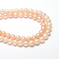 Okrugli Kulturan Slatkovodni Pearl perle, prirodan, roze, 7-8mm, Rupa:Približno 0.8mm, Prodano Per Približno 15.3 inčni Strand