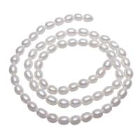 Riso coltivato in perla d'acqua dolce, perla d'acquadolce coltivata naturalmente, naturale, bianco, 4-5mm, Foro:Appross. 0.8mm, Venduto per Appross. 15.5 pollice filo