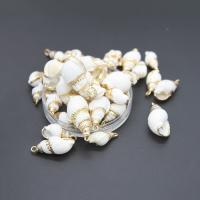 Trompette naturelle Shell pendentifs, coquille de trompette, conque, DIY, blanc, 25*10*9-16*5*4mm, Trou:Environ 1mm, 50PC/sac, Vendu par sac