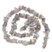 Perline in pietra di luna, Moonstone, Pepite, lucido, grigio, 4-7mm, Venduto per Appross. 15 pollice filo