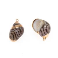 Trompette naturelle Shell pendentifs, coquille, conque, Placage, DIY, beige, 21*14*12mm, Trou:Environ 2mm, 50PC/sac, Vendu par sac