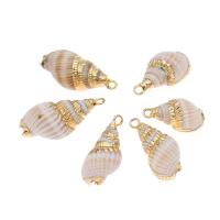 Natürliche Seemuschel Anhänger, Muschel, Strandschnecke, plattiert, DIY, weiß, 22*12*10mm, Bohrung:ca. 2mm, 50PCs/Tasche, verkauft von Tasche