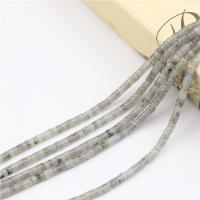 Natural Labradorite Beads Flat Round polished DIY Sold By Strand