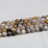 Perles agates, agate bambou, poli, DIY & normes différentes pour le choix & facettes, Vendu par brin