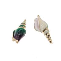 Tromba naturale Shell pendenti, conchiglia, Lumaca di mare, placcato, DIY, nessuno, 74*25*16mm, 50PC/borsa, Venduto da borsa