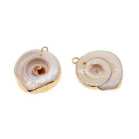 Trompette naturelle Shell pendentifs, coquille de trompette, coquille, Placage, DIY, beige, 31*24*6mm, 50PC/sac, Vendu par sac