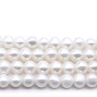 Cultured Round Freshwater Pearl Beads DIY white Sold By Strand