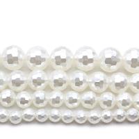 Shell Pearl Χάντρα, DIY & διαφορετικό μέγεθος για την επιλογή, λευκό, Sold Με Strand