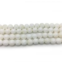 Natural White Shell Kralen, Schelp, lotus, gepolijst, DIY & verschillende grootte voor keus, wit, Verkocht door Strand