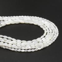 Perline conchiglia in bianco naturale , ellisse, DIY & formato differente per scelta, nessuno, Venduto da filo