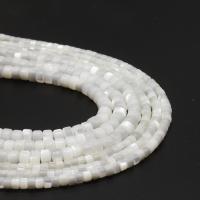 Natural White Shell Beads Flat Round DIY white Sold By Strand