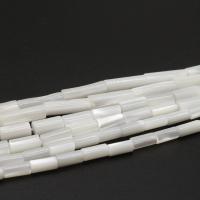 Natural White Shell Beads Column DIY Sold By Strand