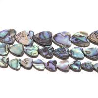 Abalone -Shell-Beads, conchiglia, Cuore, DIY & formato differente per scelta, colori misti, Venduto da filo